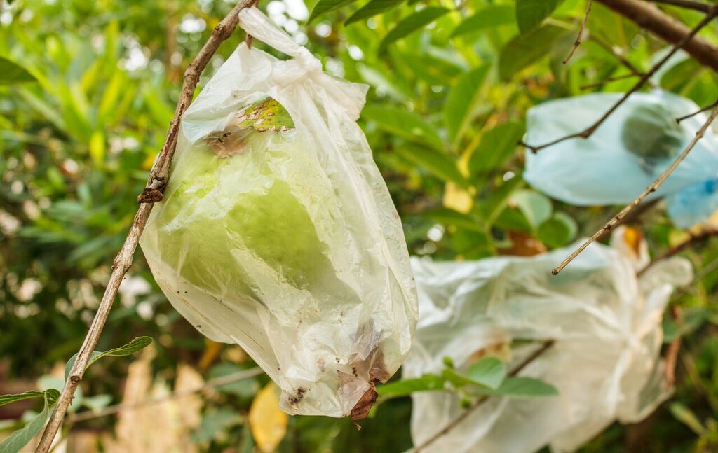 Agricultural Bag